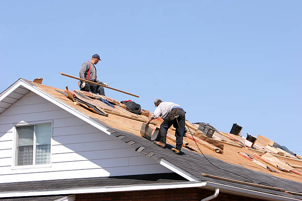 Best Gutter Installation and Repair  in White Mountain Lake, AZ