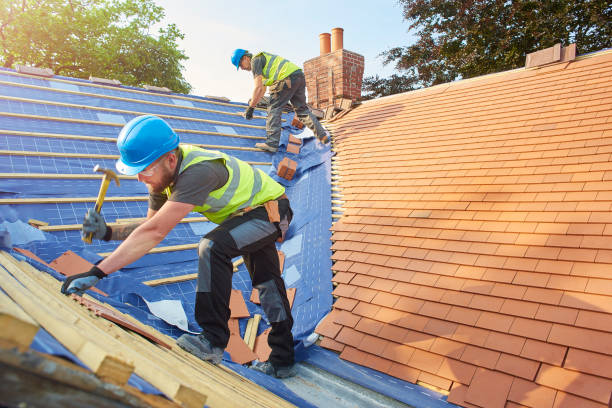 Best Roofing for New Construction  in White Mountain Lake, AZ